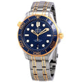 Omega OM-42